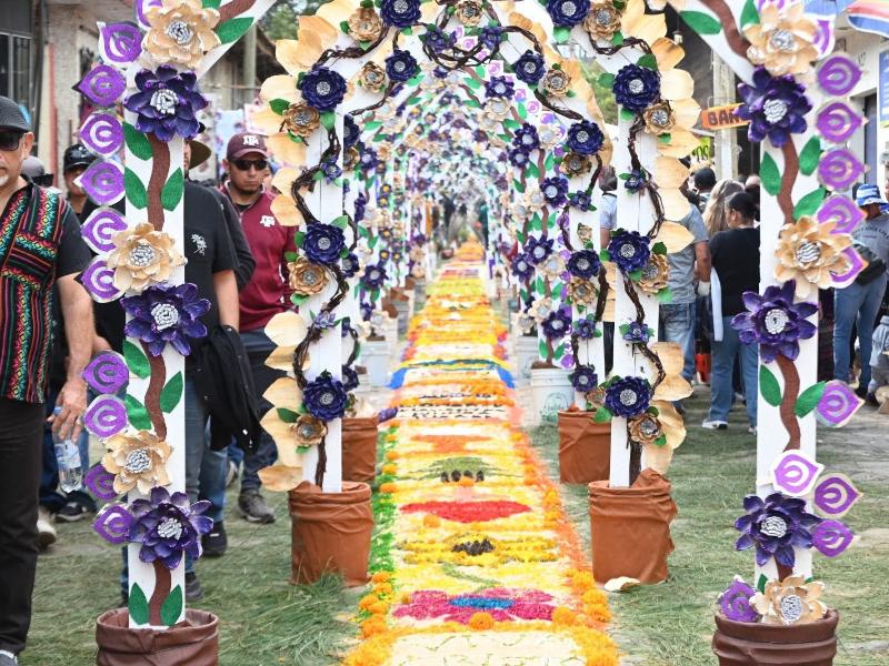 Tapetes de Patamban recibirán distinción internacional anunciada para diciembre