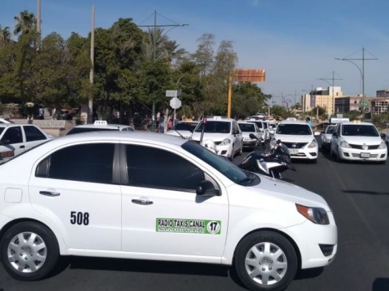 Taxistas buscan obtener permisos para trabajar por su propia cuenta