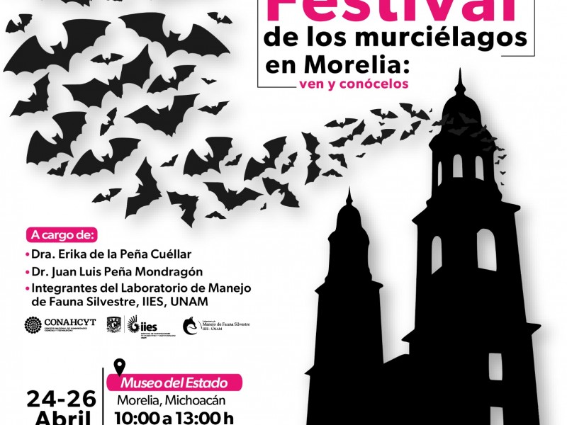 ¿Te gustan los murciélagos? Festival en el Museo del Estado