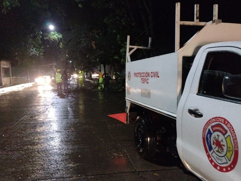 Techo de vivienda colapsó durante lluvia