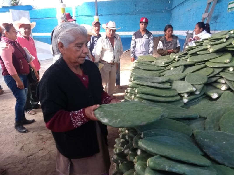Tehuacán es segundo municipio con mayor pobreza alimentaria