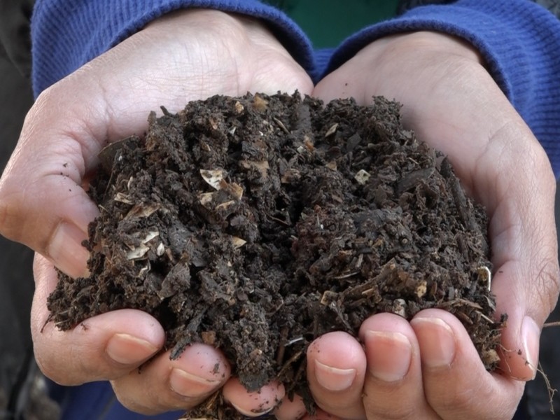 Tehuacanera recolecta 160/kilogramos de residuos orgánicos y 