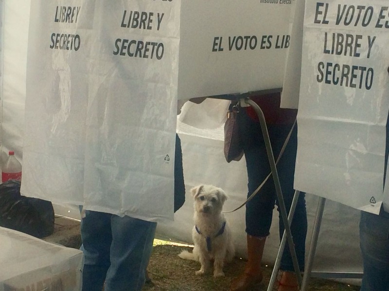 Tehuacaneros salen a votar y eligen gobernantes