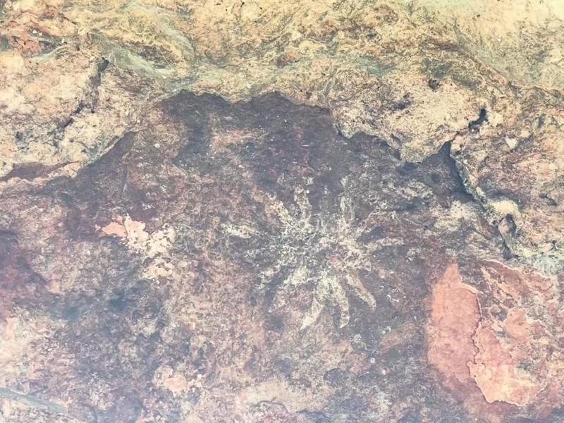 Tehuacán: Antropología e Historia reconoce necesitar colaboración local para preservar arte rupestre