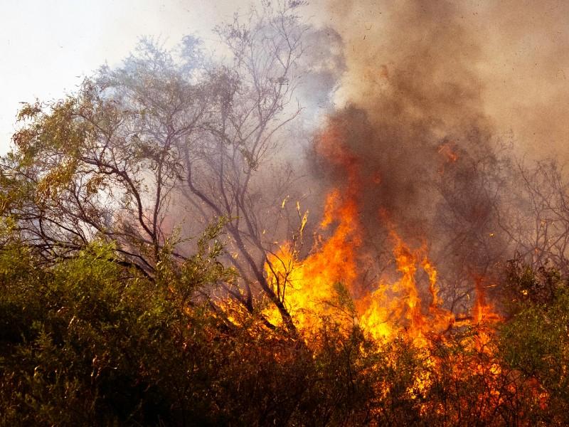 Tejupilco, la región de mayor preocupación por incendios forestales