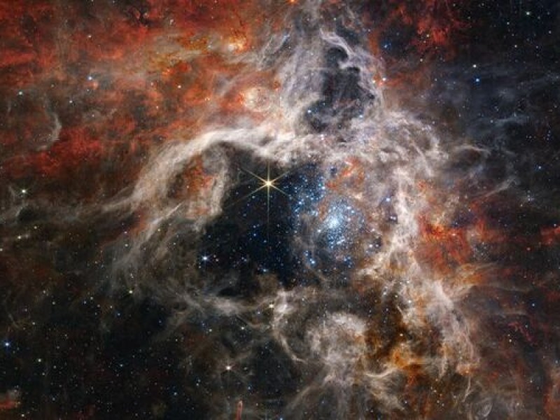 Telescopio James Webb muestra en detalle una guardería de estrellas