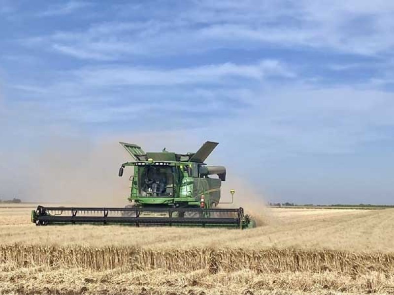 Temen agricultores financiamiento con dinero sucio