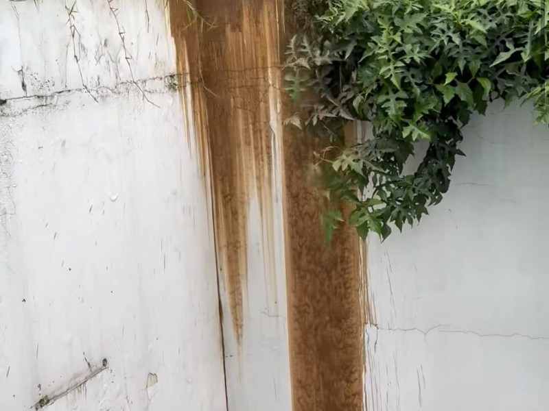 Temen derrumbe de muro de contención en Xalapa