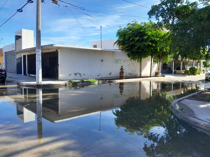 Temen enfermedades por lagunas de aguas negras en Infonavit Macapule