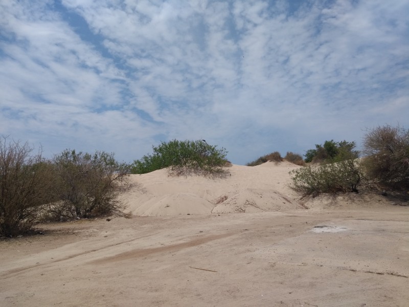 Temen perder desoves por extracción de dunas