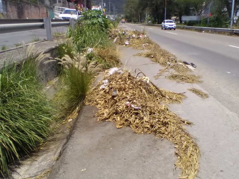 Temen que basura en libramiento genere accidentes