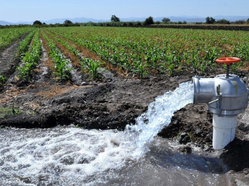 Temerosos por bajas temperaturas aplican riegos de auxilio