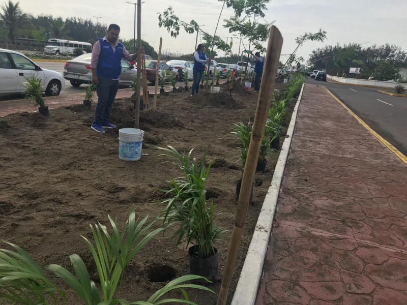 Temperatura de Veracruz incrementa .7 grados por década