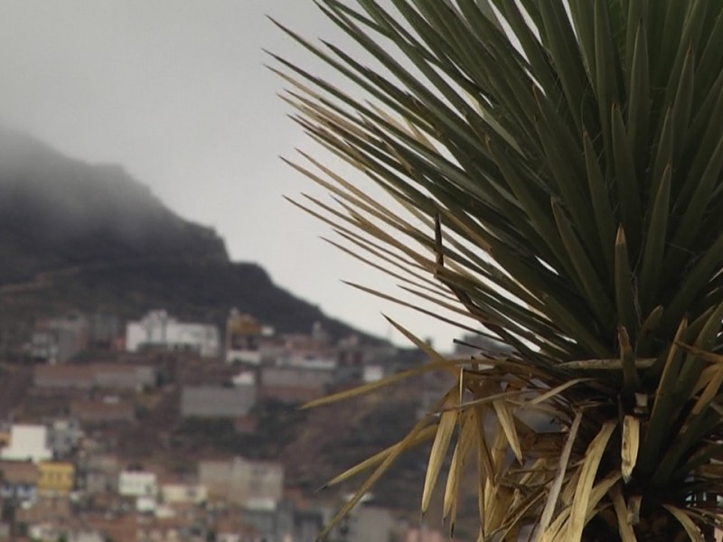 Temperaturas frías llegan a Zacatecas