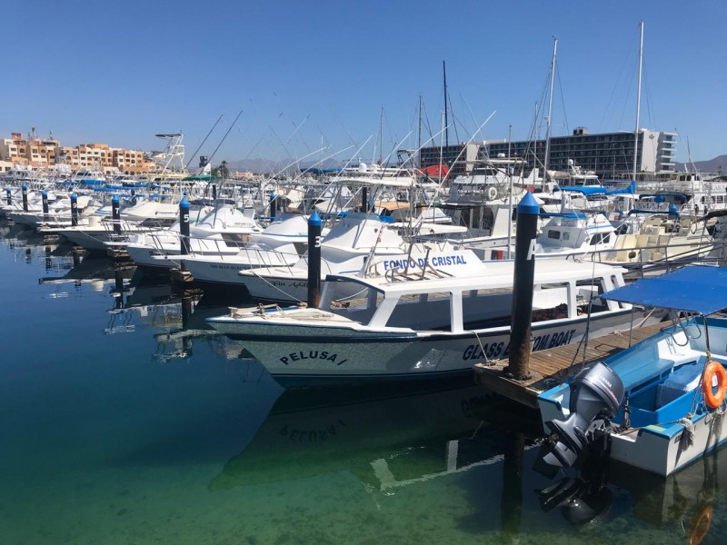 Temporada de ballenas no representó ganancias para prestadores de servicios