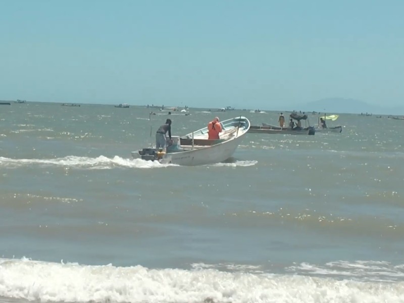 Temporada de camarón no ha sido redituable en el Golfo DSC