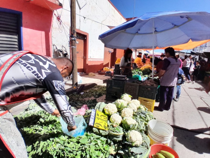 Temporada de hongos comestibles se retrasa afalta de lluvia