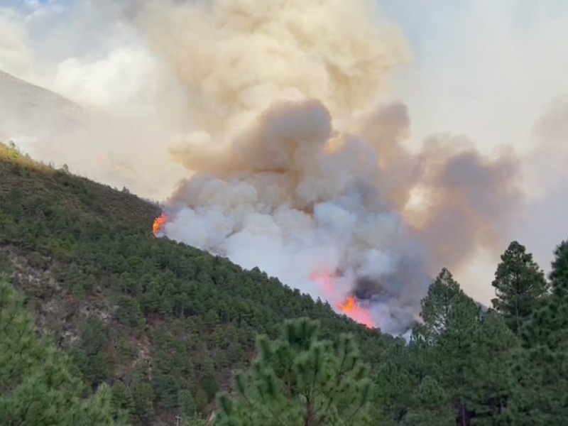 Temporada de incendios forestales en Coahuila lleva 15 siniestros