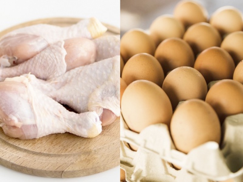 Temporada invernal incrementa el precio del pollo y el huevo