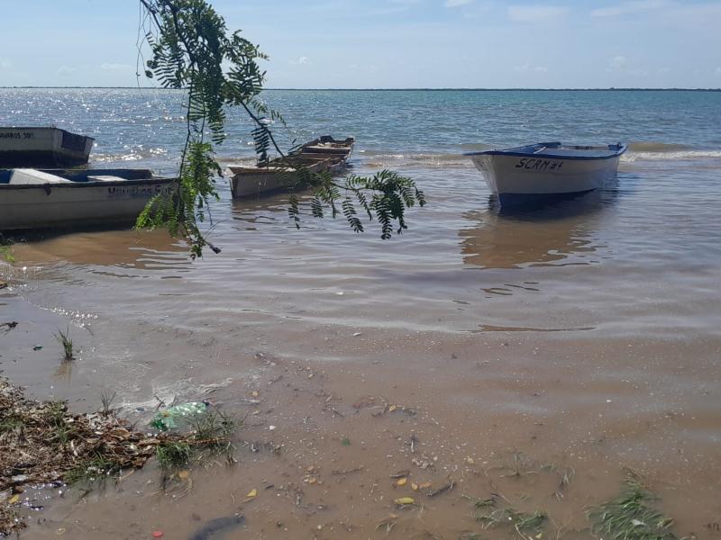¡Temporada perdida! Pescadores de Yavaros buscan jaiba ante la escasez de camarón