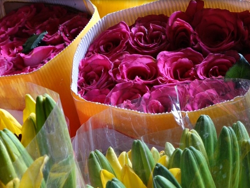 Tenancingo realizará primer festival de la flor