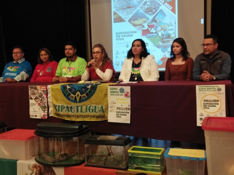 Tendrán playas de Michoacán la Primer Expo Reptil 2022