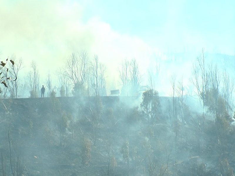 Tepetongo, uno de los municipios más afectados por incendios