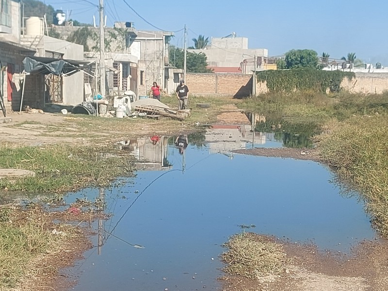 Tepicenses viven en zona inundada por aguas negras diariamente