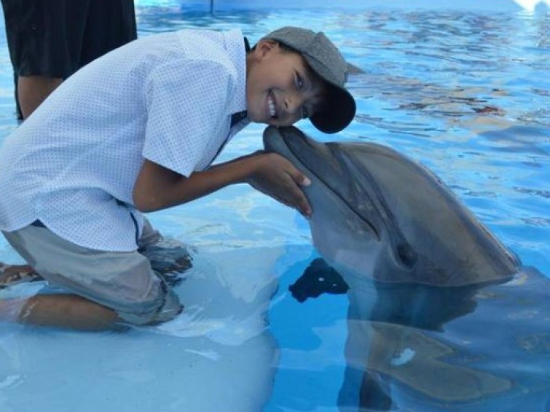 Terapia con delfines inicia en Sonora