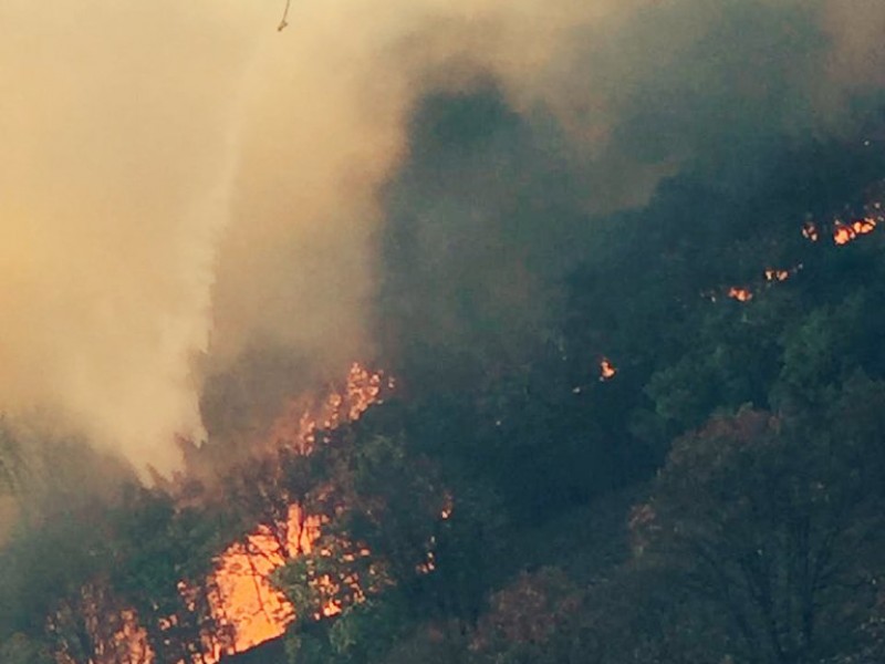 Tercer incendio de la semana en La Primavera