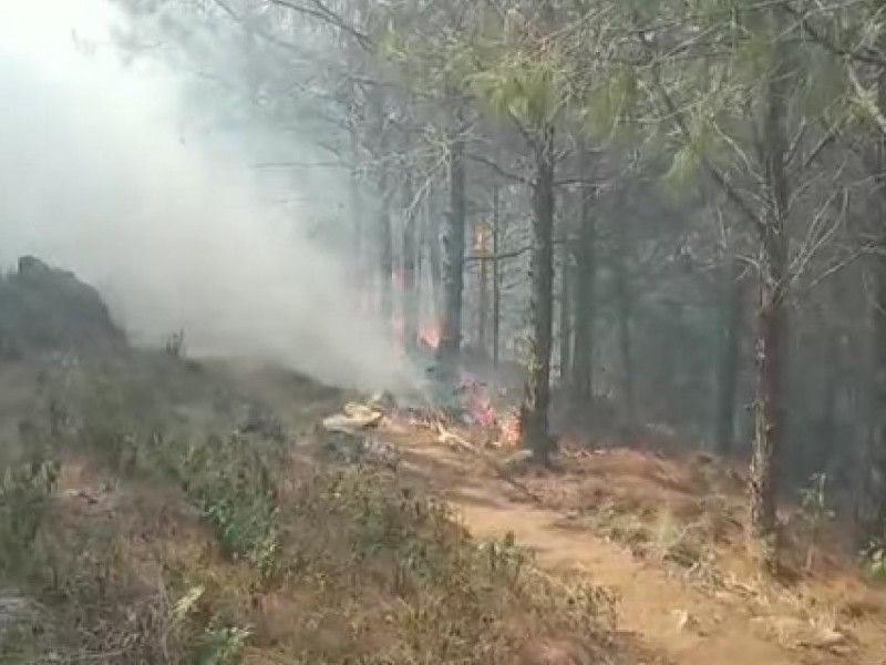 Tercer incendio forestal en la Sierra Negra registrado en Coyomeapan