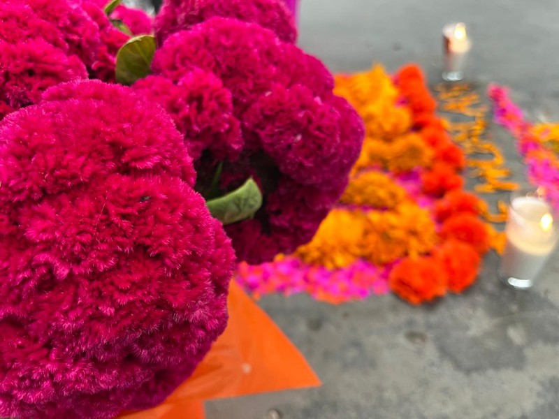 Terciopelo: La llamativa y elegante decoración de las ofrendas