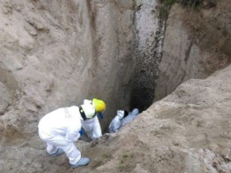 Termina excavación en fosa con 119 bolsas