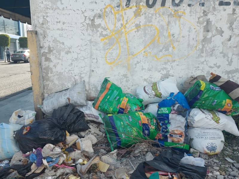 Terreno aledaño a La Purísima usado como basurero