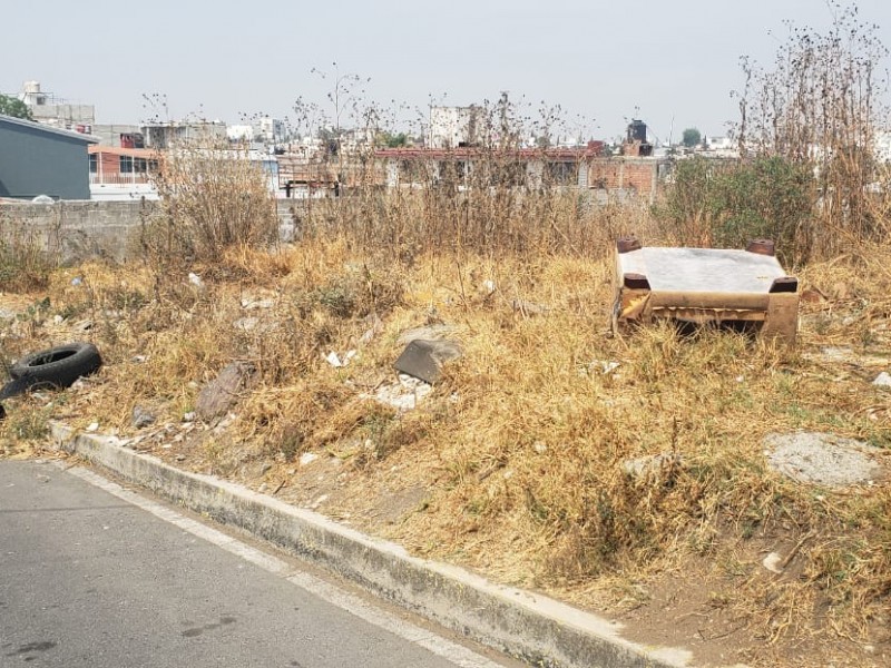 Terreno baldío afecta salud de habitantes de Reforma Sur