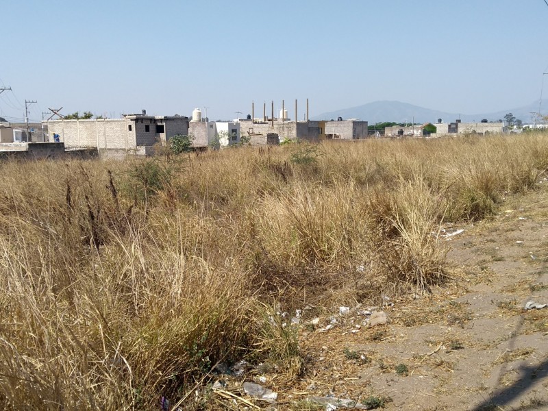 Terreno baldío afecta viviendas en la Cantera