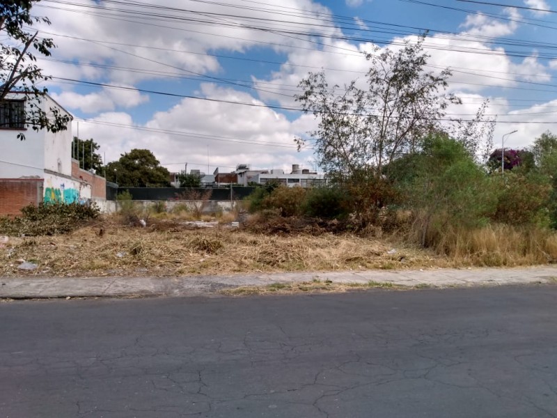 Terreno baldío alberga maleza y delincuencia en colonia Gabriel Pastor