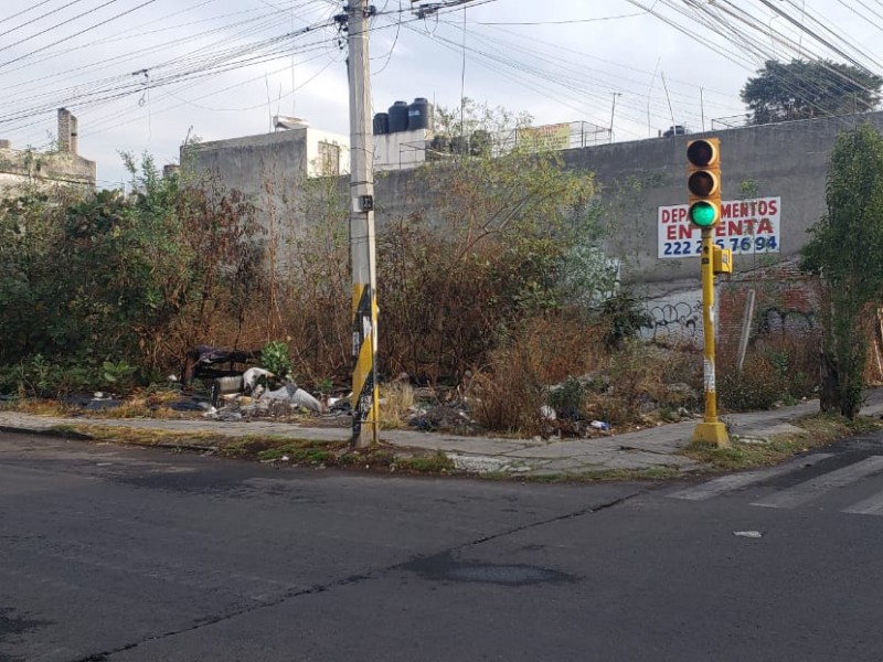 Terreno baldío, foco de infección para vecinos de Chula Vista