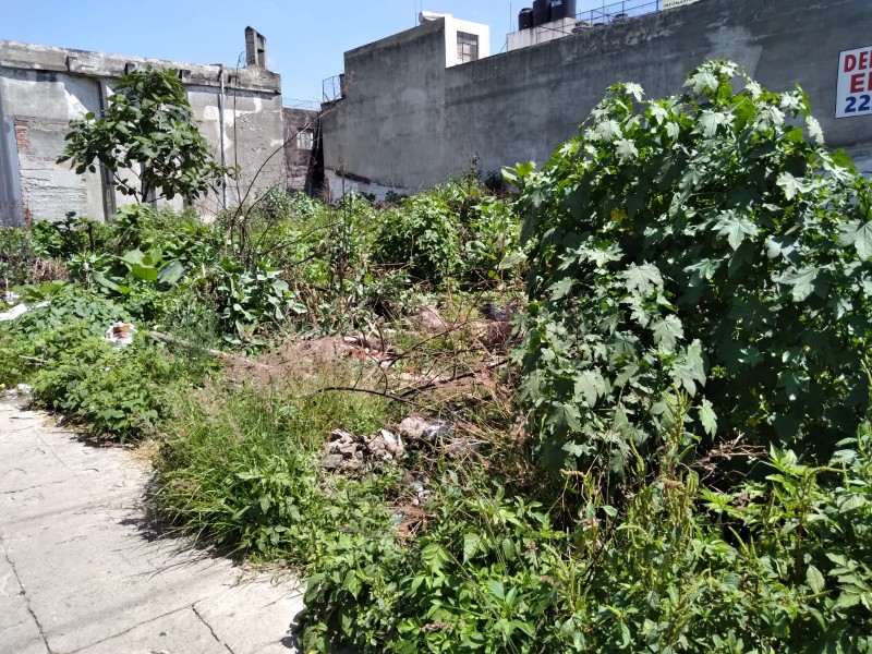 Terreno baldío problema en colonia Héroe de Nacozari