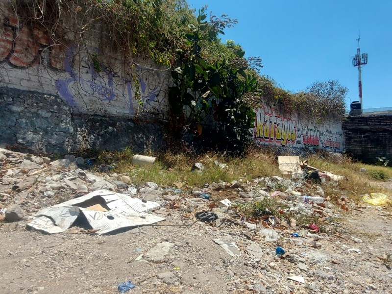 Terreno baldío provoca contaminación en colonia Emiliano Zapata de Tepic