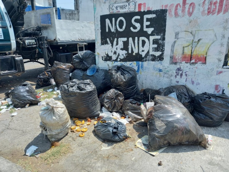 Terreno se ha convertido en depósito de basura