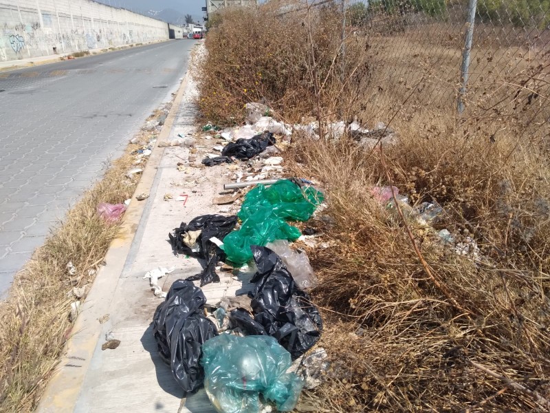 Terreno y vía pública con basura causa molestia a vecinos
