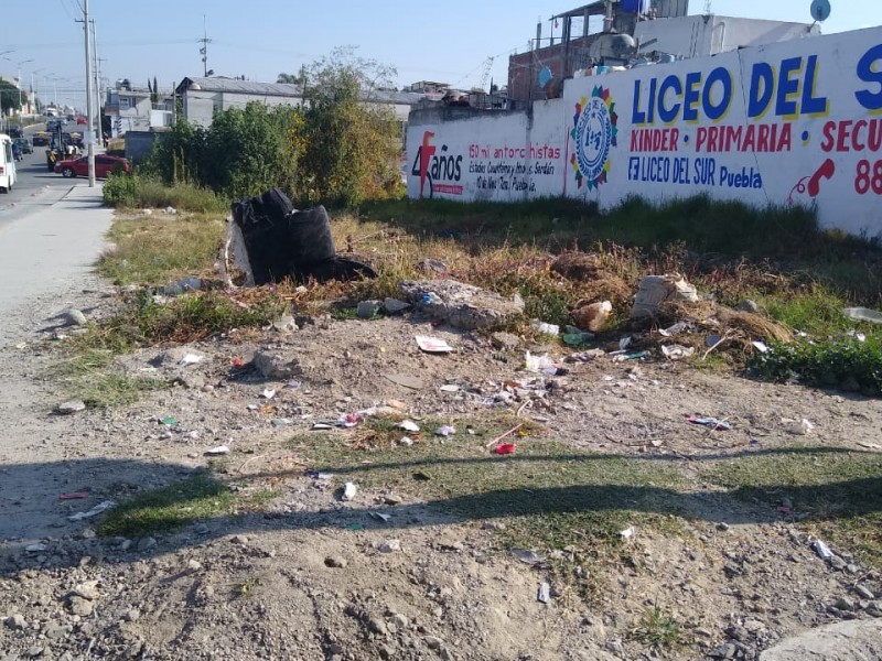 Terrenos baldíos ahora son basureros en Tres Cerritos
