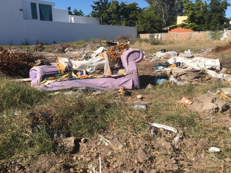 Terrenos baldíos en abandono, un problema de salud e inseguridad.