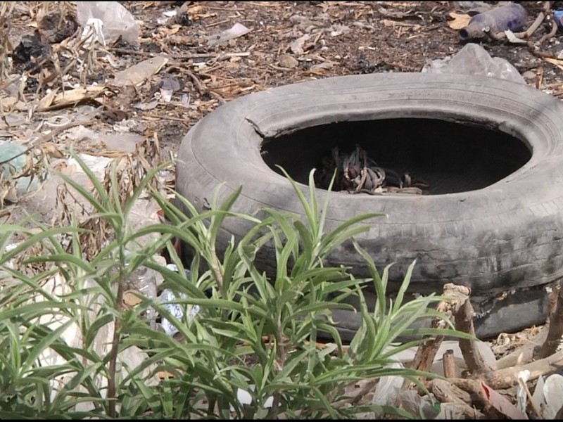 Terrenos baldíos ocupados como basureros clandestinos