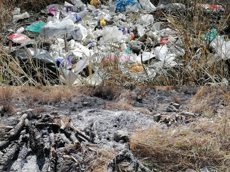 Terrenos baldíos siguien siendo blancos para depositar la basura