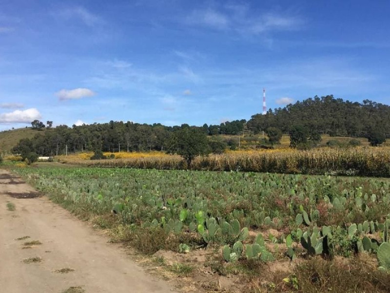 Terror en el cerro Zapotecas por agresor serial
