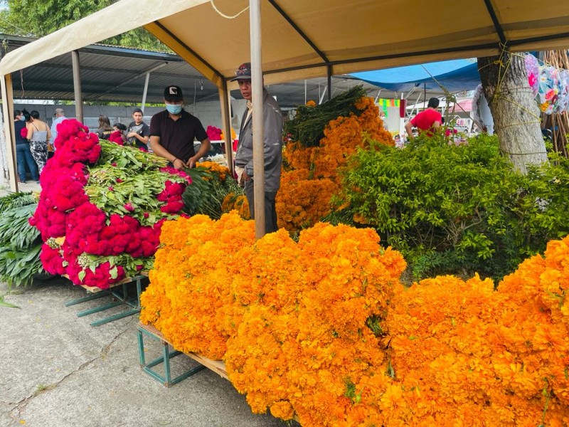 Tianguis de Todos Santos nueva tradición en Tuxpan