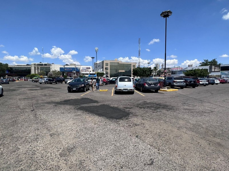 Tianguistas de La Cruz estarán en Plaza de las Américas