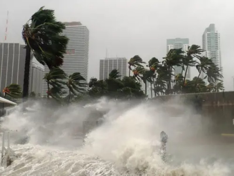 Tiburones en el huracán Melissa: la verdad detrás del clip Tiburones en el huracán Melissa: la verdad detrás del clip